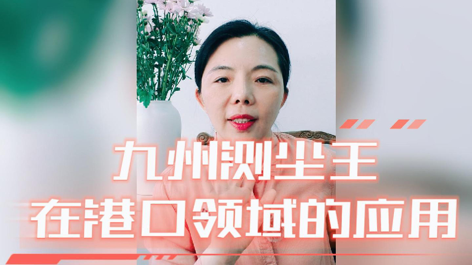 九州測(cè)塵王在港口領(lǐng)域的應(yīng)用
